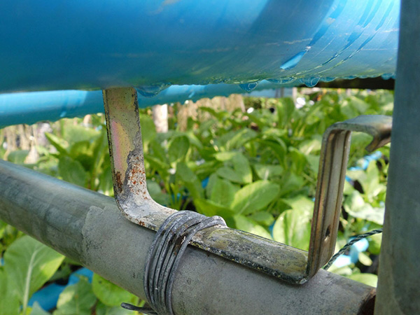 trồng rau thủy canh bằng ống nhựa PVC