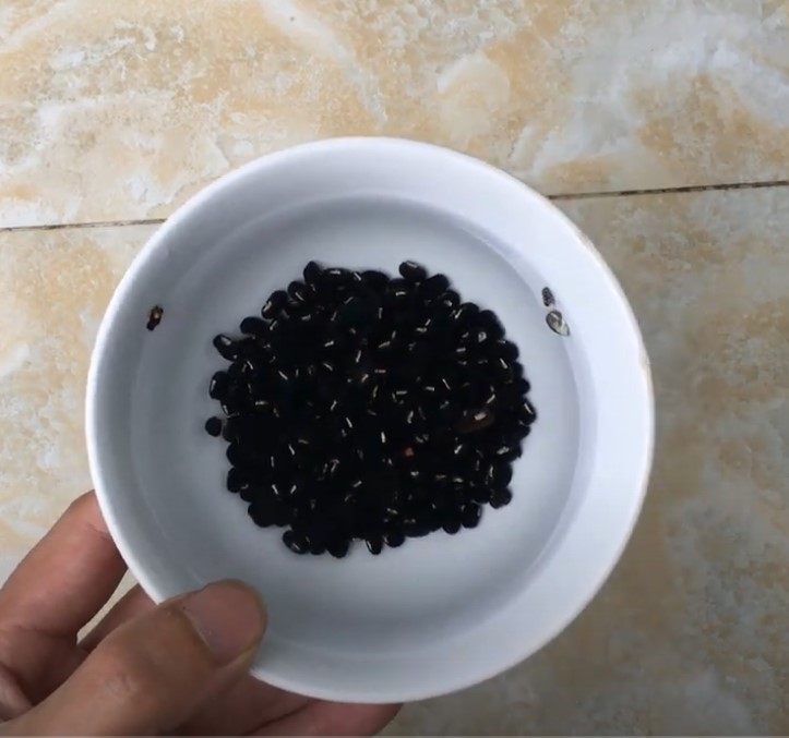 Cách trồng đậu đen - Bí quyết "hữu hiệu" mà bạn cần biết