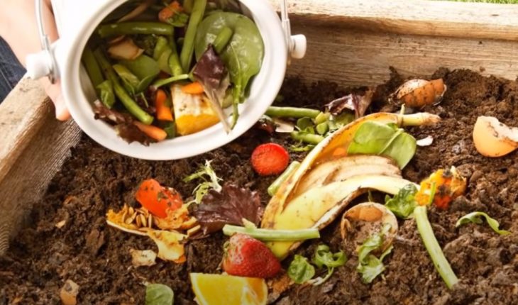 Tự làm phân bón hữu cơ tại nhà từ rác thải nhà bếp